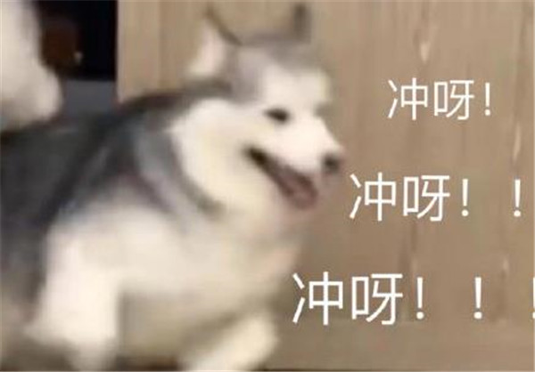 2020最后一天朋友圈说说文案