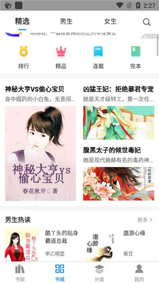 皮皮小说无弹窗小说网