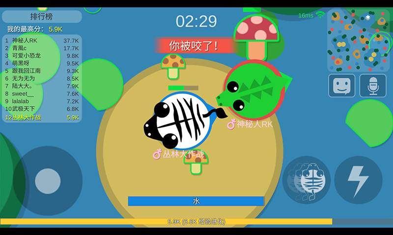 丛林大作战手机版