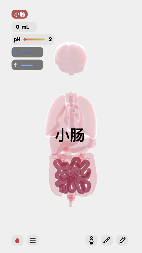 生命life怀孕