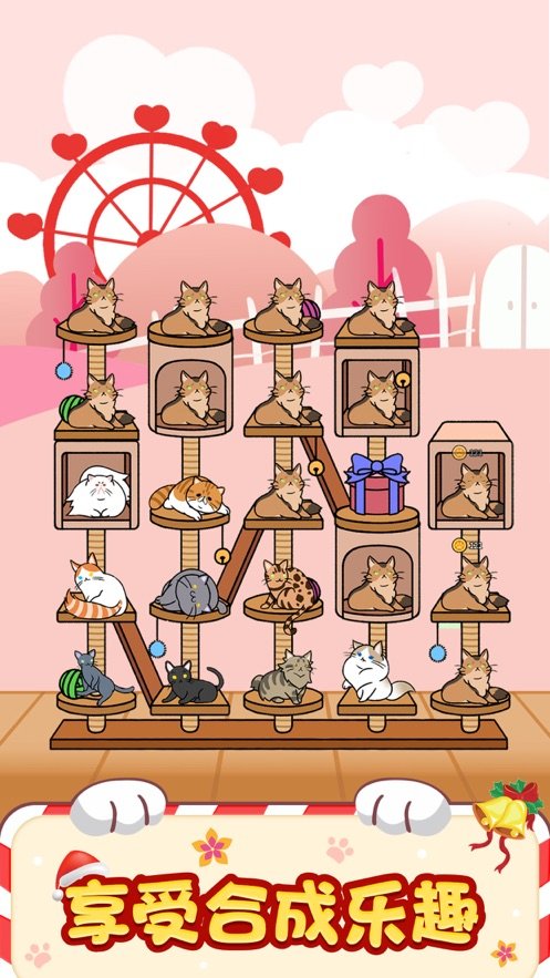 猫咪小家2021