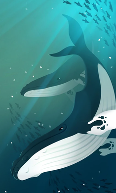深海水族馆全鱼2021