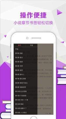 宝书网小说txt免费下载