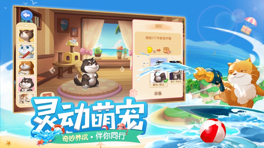 海岛梦想家