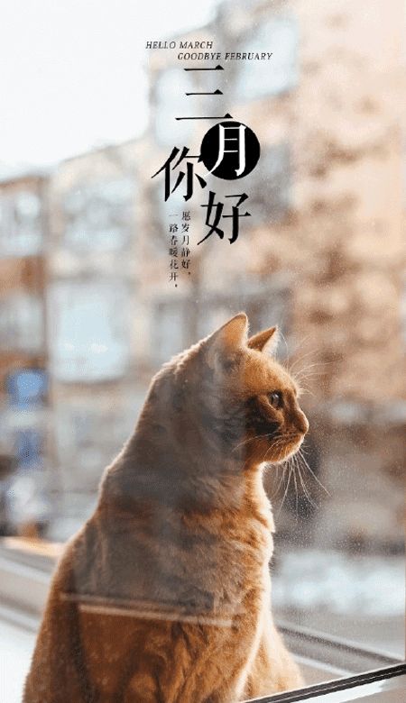 三月你好文案带字图片下载2021