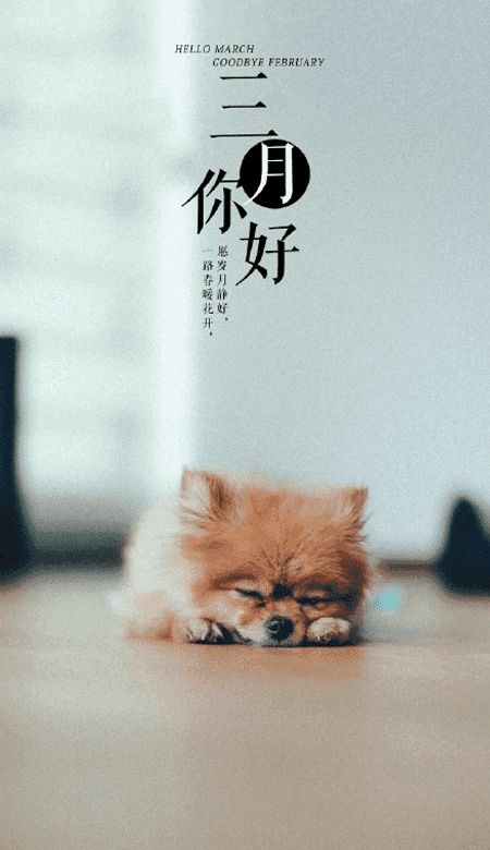 三月你好文案带字图片下载2021