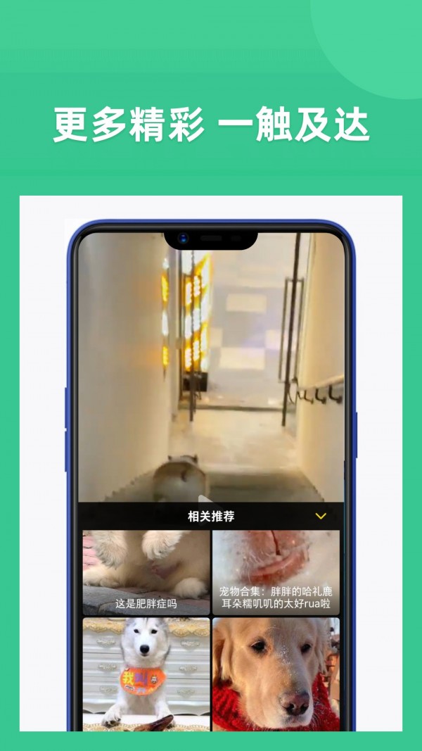 享福视频在线观看免费