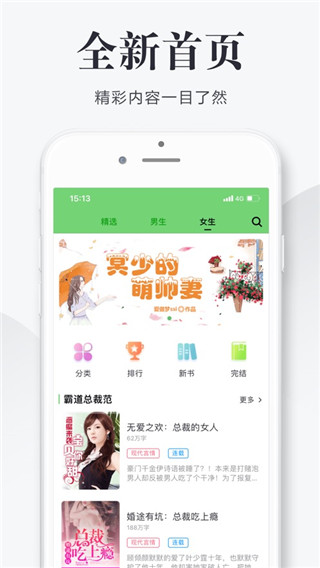 全真小说精编版