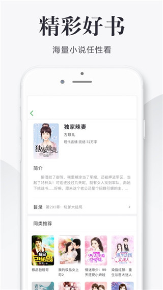 全真小说精编版