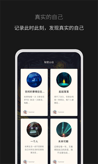 秘密山谷