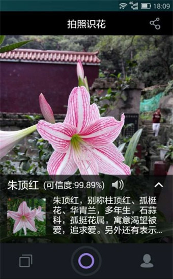 拍照识花