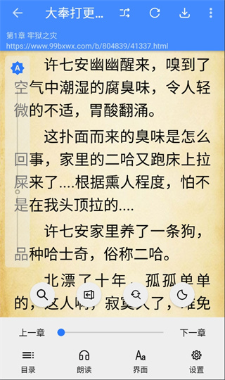 龙眼小说最新版