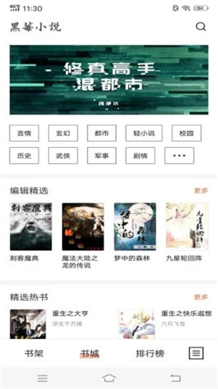 黑莓小说完整版免费在线