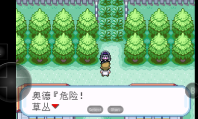神奇宝贝