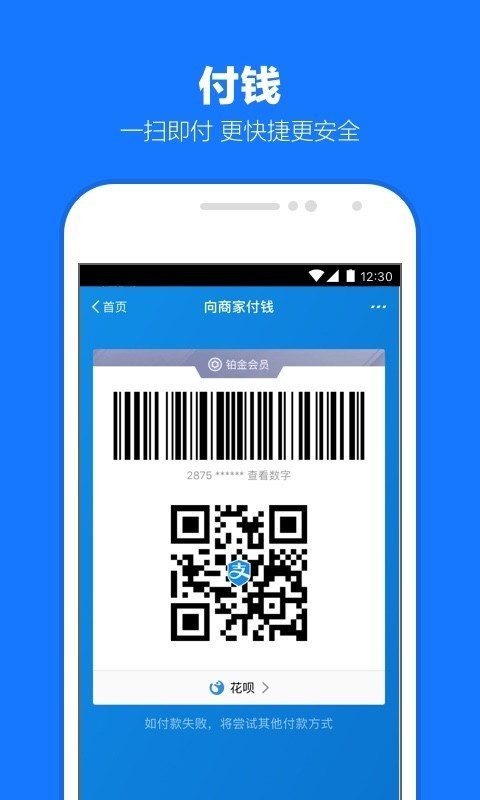 支付宝双11抢红版2021