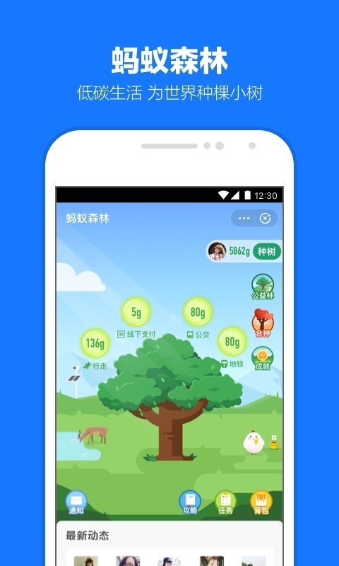 支付宝双11抢红版2021