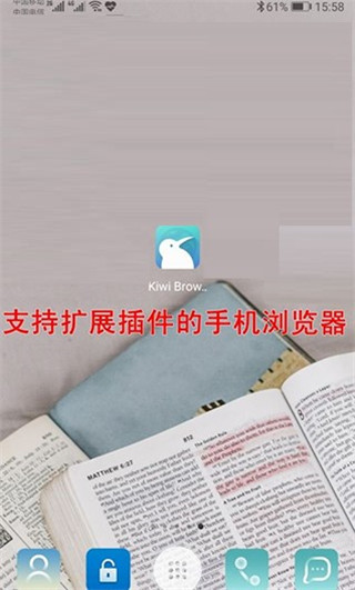 Kiwi浏览器中文版