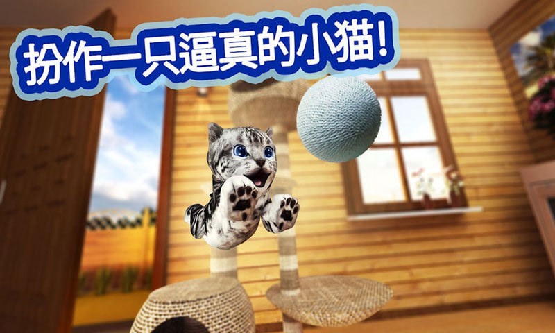 迷你小猫城市生存下载