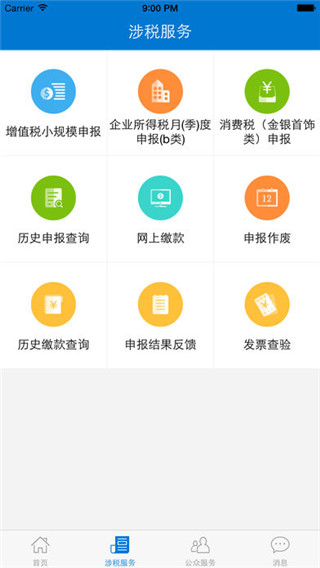 广东国税官网版