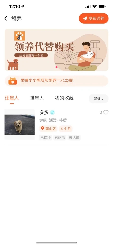 财猫双犬