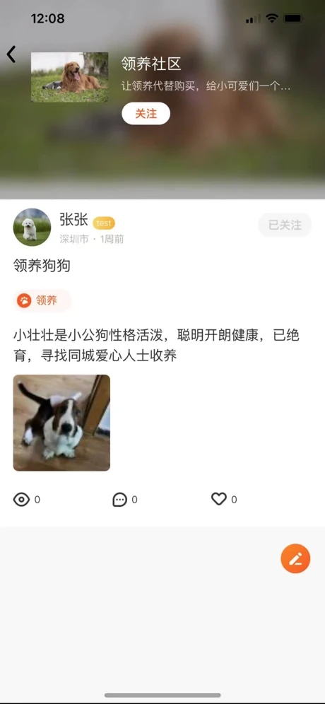 财猫双犬