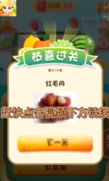 奇异果大拼盘