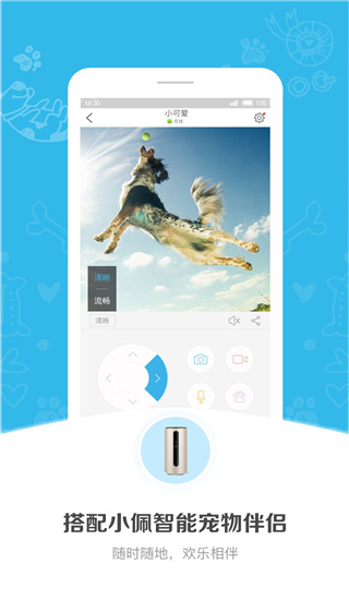 小佩宠物官网版