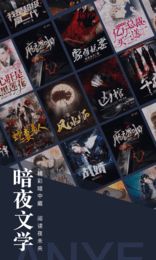 暗夜文学网安卓版