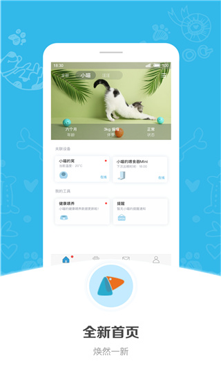 小佩宠物2022