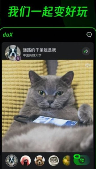 doX多克斯2022