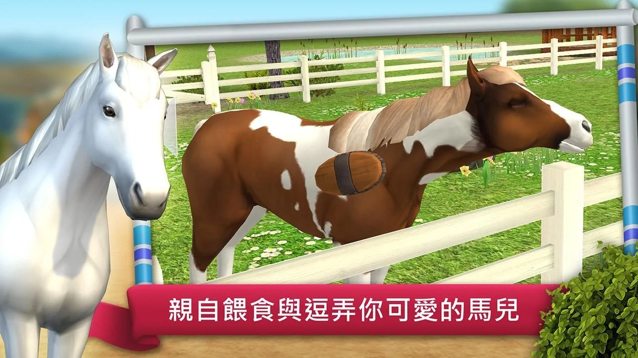 骑马越障比赛