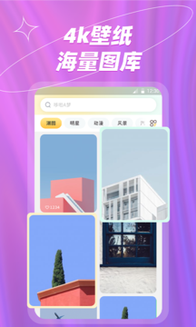 炫彩桌面壁纸大全2022