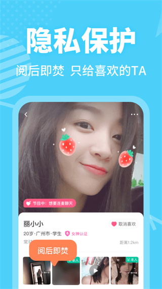 春风十里2022