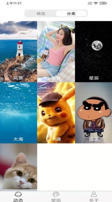 飞花动态壁纸2022