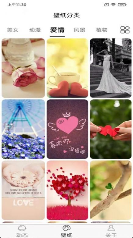 飞花动态壁纸2022