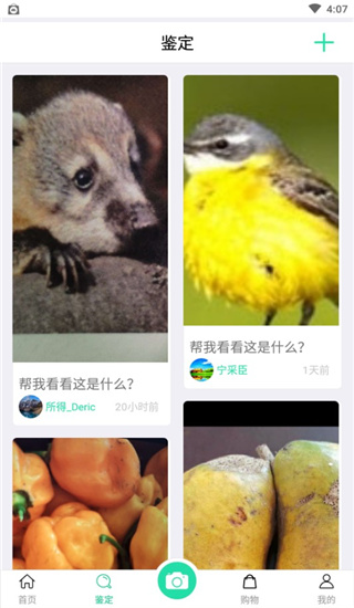 识物2022