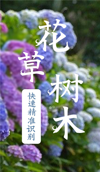 识物2022