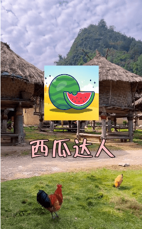 西瓜达人安卓版