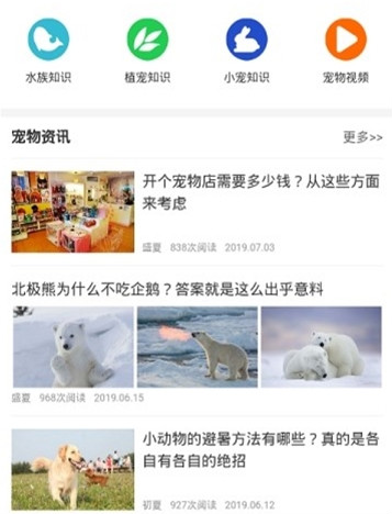 我的宠舍