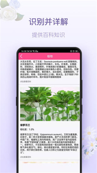 拍照识花神器2022