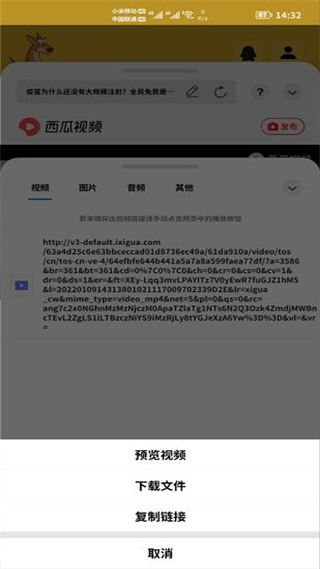 2022袋鼠下载