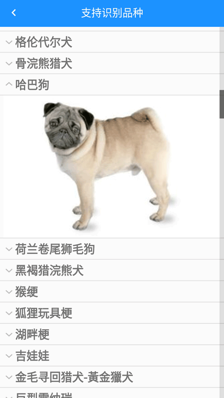 哈狗万能拍照识别