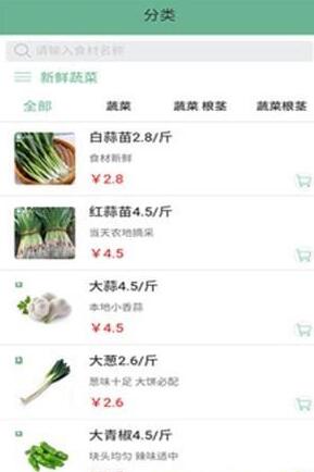 十荟团团长端