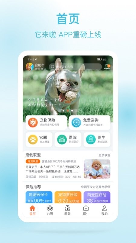它来啦2022