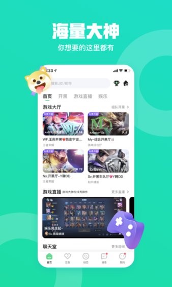 皮队友2022