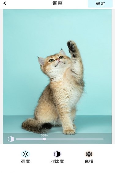 青橘美化最新版