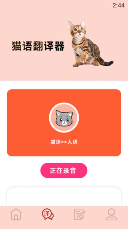 摸摸小猫