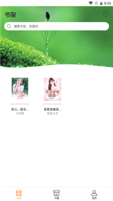 鲁晟免费小说官方版