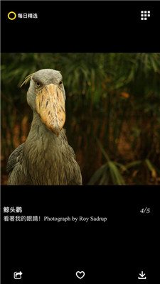 每日精选app下载