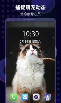 壁纸酱app手机最新版